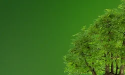 640x250_sc_categorie-environement